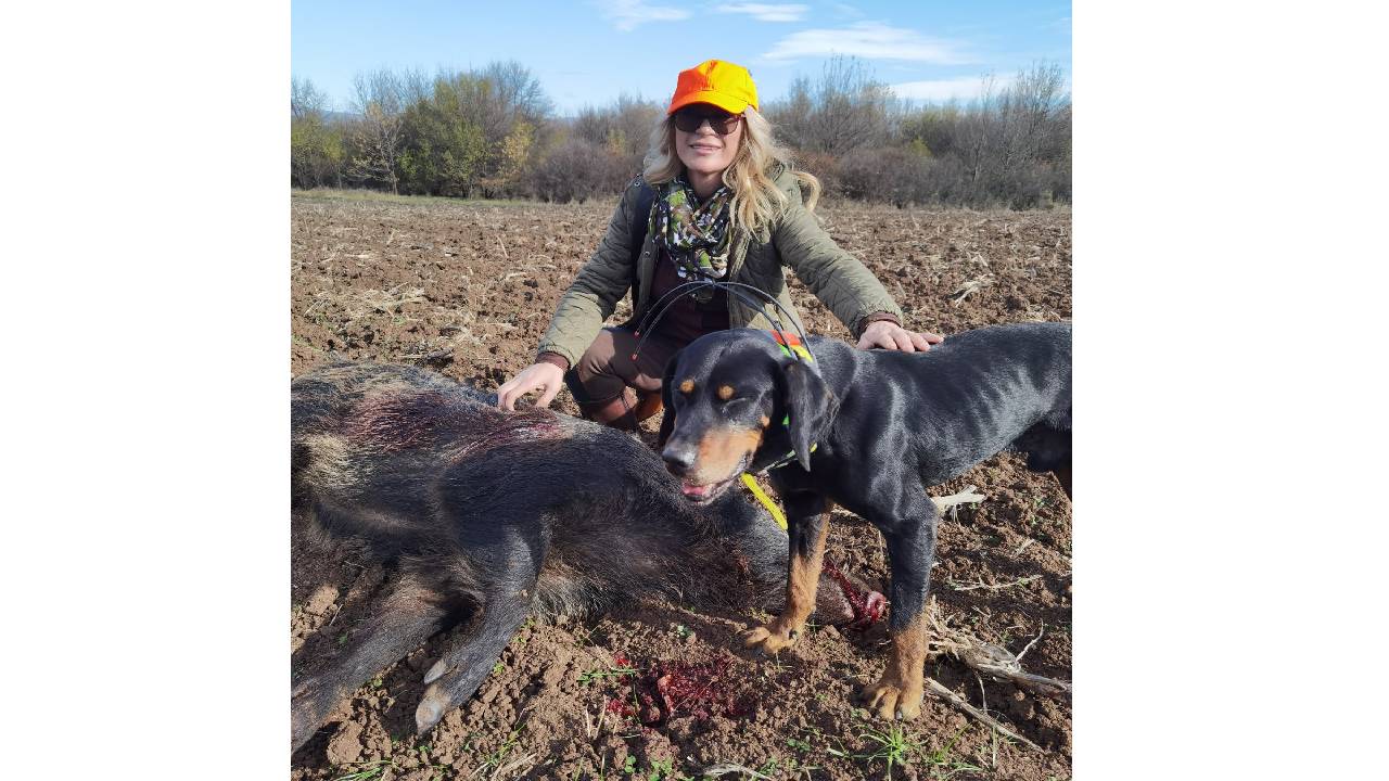 Димиотрова лов