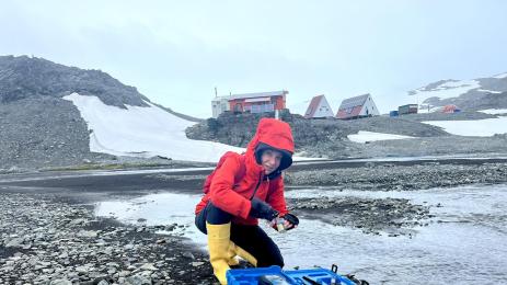 Антарктида