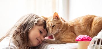 Митове за котките: мъжките котки по-привързани ли са от женските?
