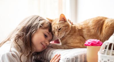 домашна котка