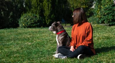 куче обляга