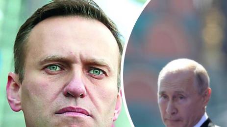 путин и навални