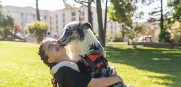 7 начина, по които кучетата изразяват радост