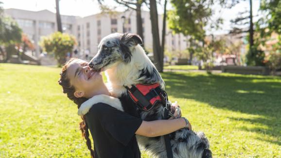 7 начина, по които кучетата изразяват радост
