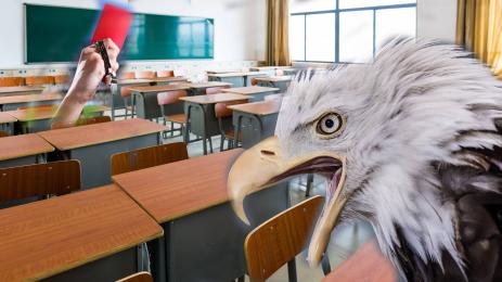 класна стая Лудогорец орел