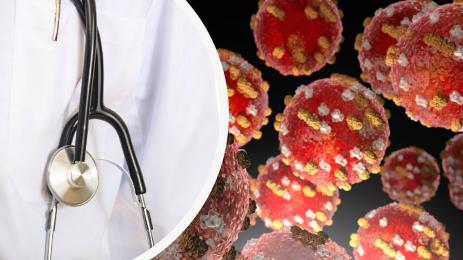 морбили шарка