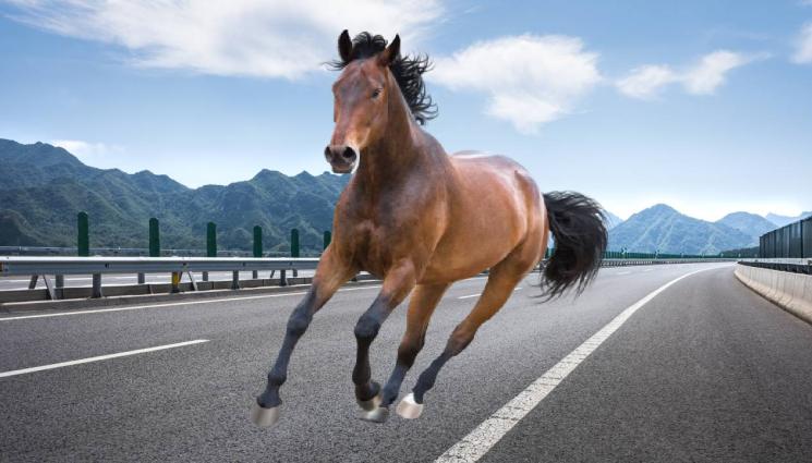 кон магистрала - УЖАС: Кон се заби в бус с деца!