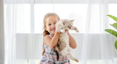 котка и дете