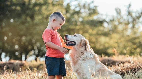 10 породи кучета, които искрено обичат децата