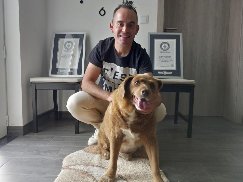 Световните рекорди на Гинес отнеха титлата най-старо куче в света,
