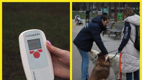 чип за домашни любимци