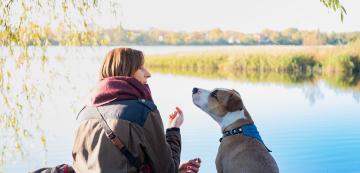 3 причини защо е полезно да говорите на кучето си