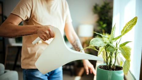 цветя поливане