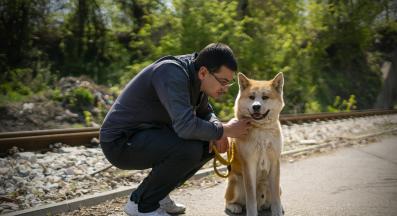 куче дресура