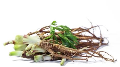 Женски женшен