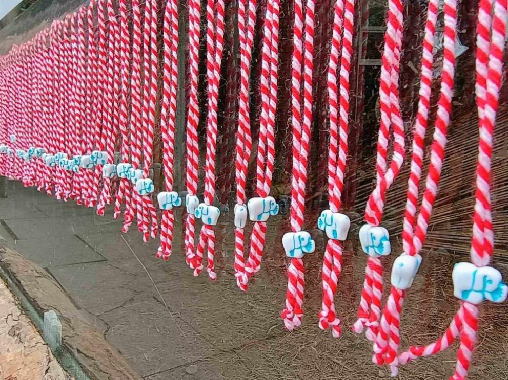  Зоологическа градина София 