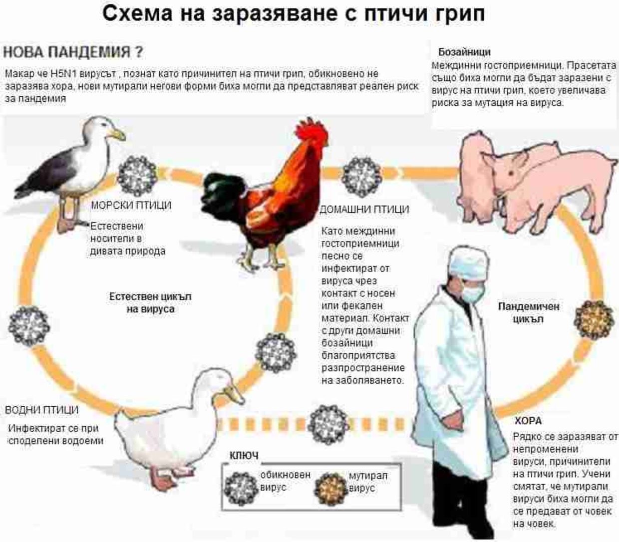 Евгени евтимов