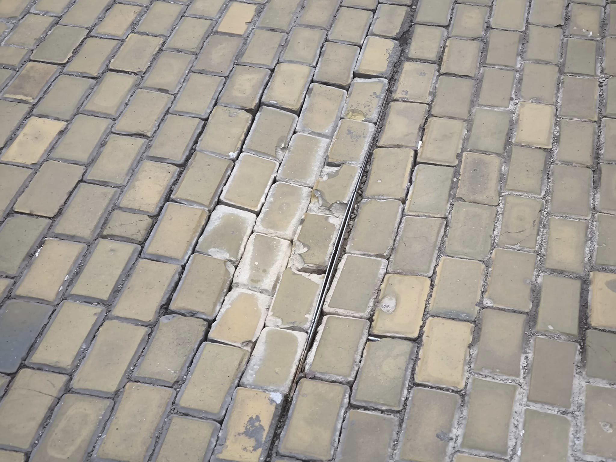 жълти павета