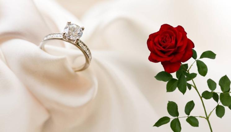 Ергенът 3 - ПОСЛЕДНАТА РОЗА: Тя ли спечели сърцето на Ергенът? (СНИМКИ+ВИДЕО)