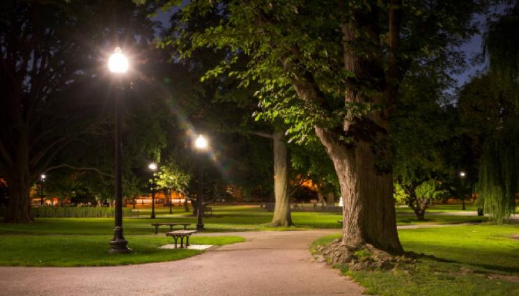 парк - Подменят осветлението в столичните паркове (СНИМКИ)