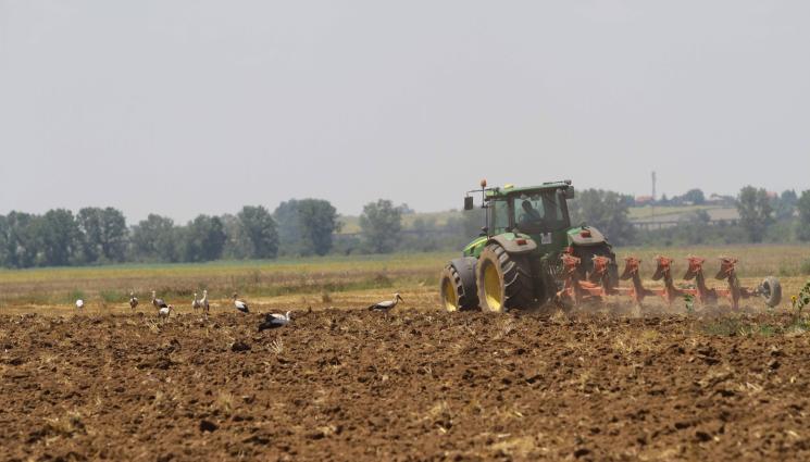 сеитба - Агро Телеграф: Март започва с температури над нормата