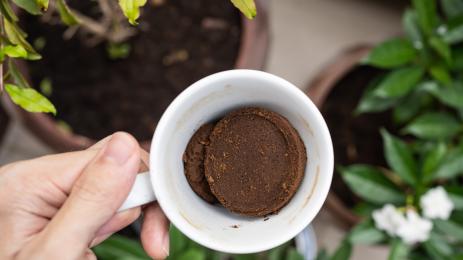 кафе утайка