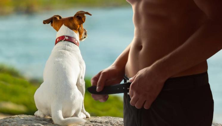 зоофилия - ПЪЛНО ИЗВРАЩЕНИЕ: Компания направи секс играчка във формата на куче! (СНИМКА)