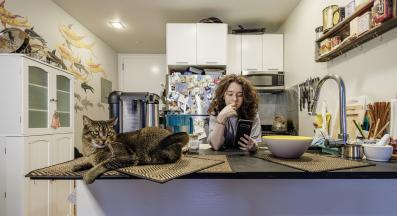 котка у дома