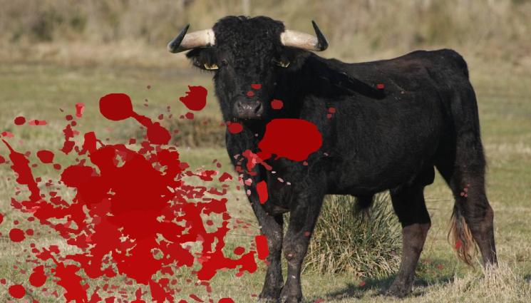 бик - УЖАСЯВАЩО! Бик прониза мъж, още седем паднаха ранени