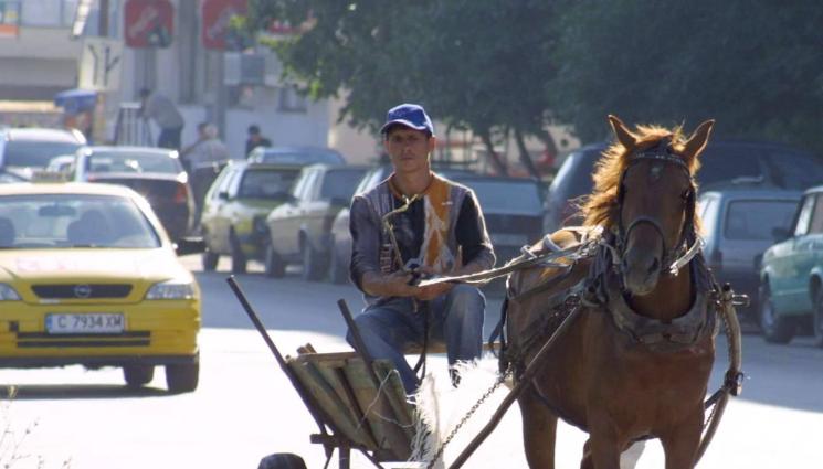 каруца - До 500 лева стига глобата за управление на каруца в София, но талигите не изчезват!