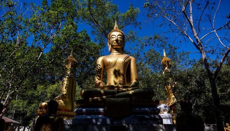 Буда - СЛЕД ПОГРОМ В ХРАМ: Статуя уби развилнял се мъж! (СНИМКИ)