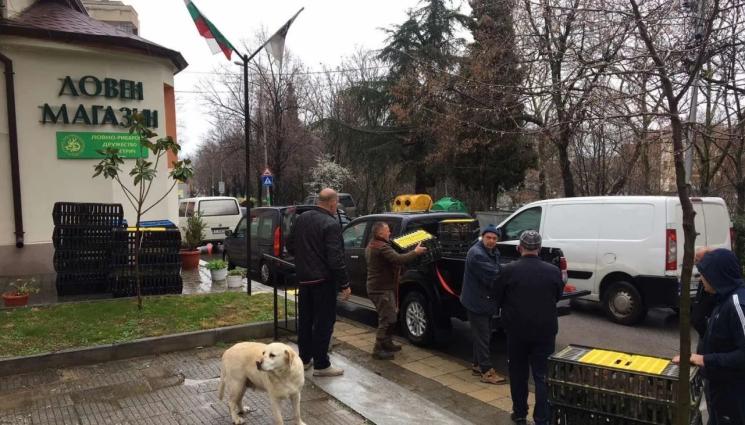 лов - Пернати по ловните полета: Разселват пролетно дивечови птици