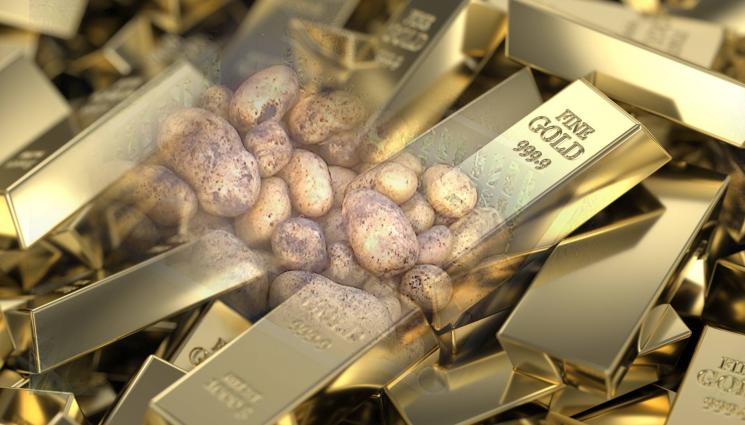 картофи - САМО ЗА БОГАТАШИ: Пресните картофи станаха златни!