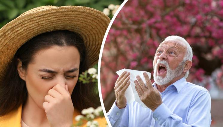 кихане - ЗДРАВЕ с Телеграф: Всеки четвърти страда от алергичен ринит.