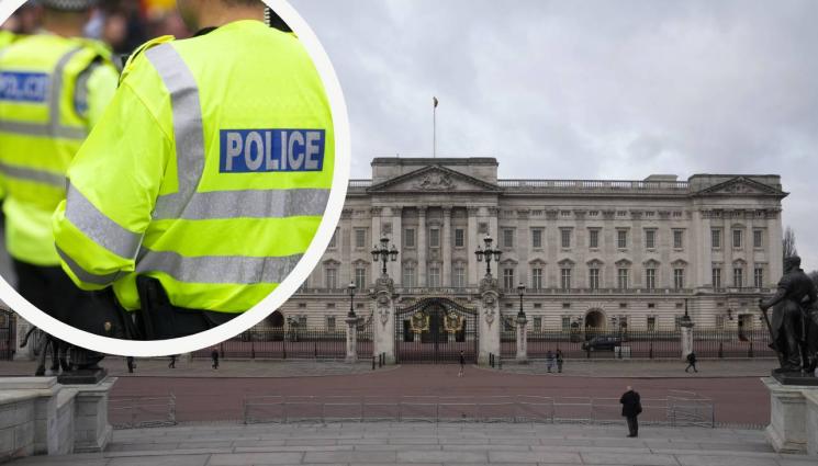 Бъкингамския дворец - НЕ ИМ СТИГАТ НЕВОЛИТЕ: Кола се заби в портите на Бъкингамския дворец (ВИДЕО+СНИМКИ)