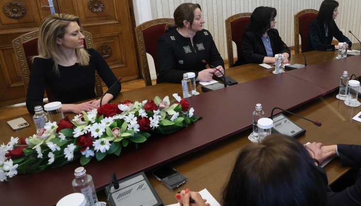 рАДЕВ - ПО РЕД НА НОМЕРТА: ГЕРБ-СДС на консултация при президента (ВИДЕО)