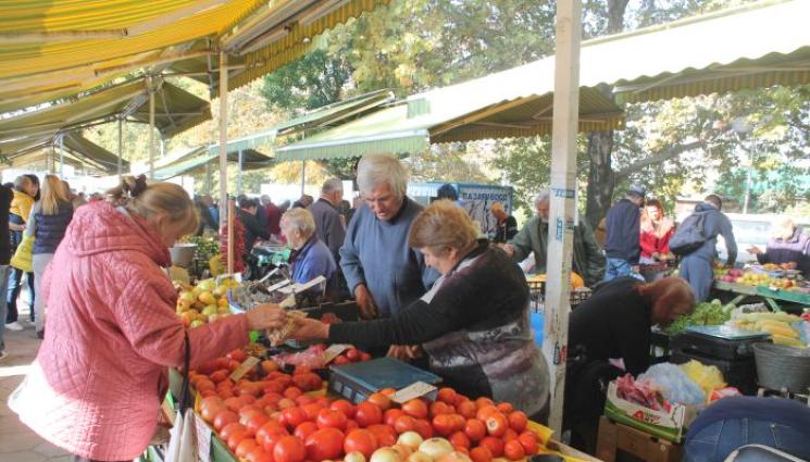 пазар - Агро Телеграф: Градинари от Кресна и Петрич: Държавата е майка за търговците и мащеха за земеделците