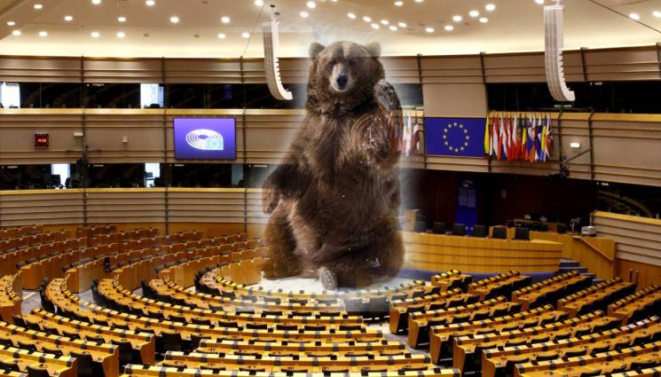 мечка - Излагат БГ мечки в Европарламента