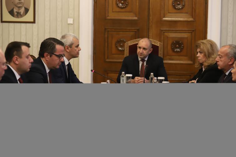 Възраждане на консултации при президента Румен Радев
