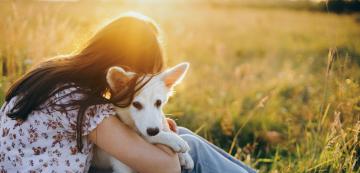 6 знака, че възприемате кучето си като член на семейството