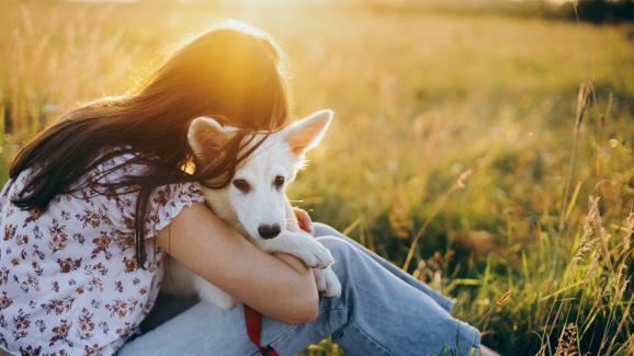 10 лесни начина станете (още) по-добър стопанин на кучето си