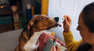 куче витамини