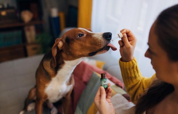 куче витамини