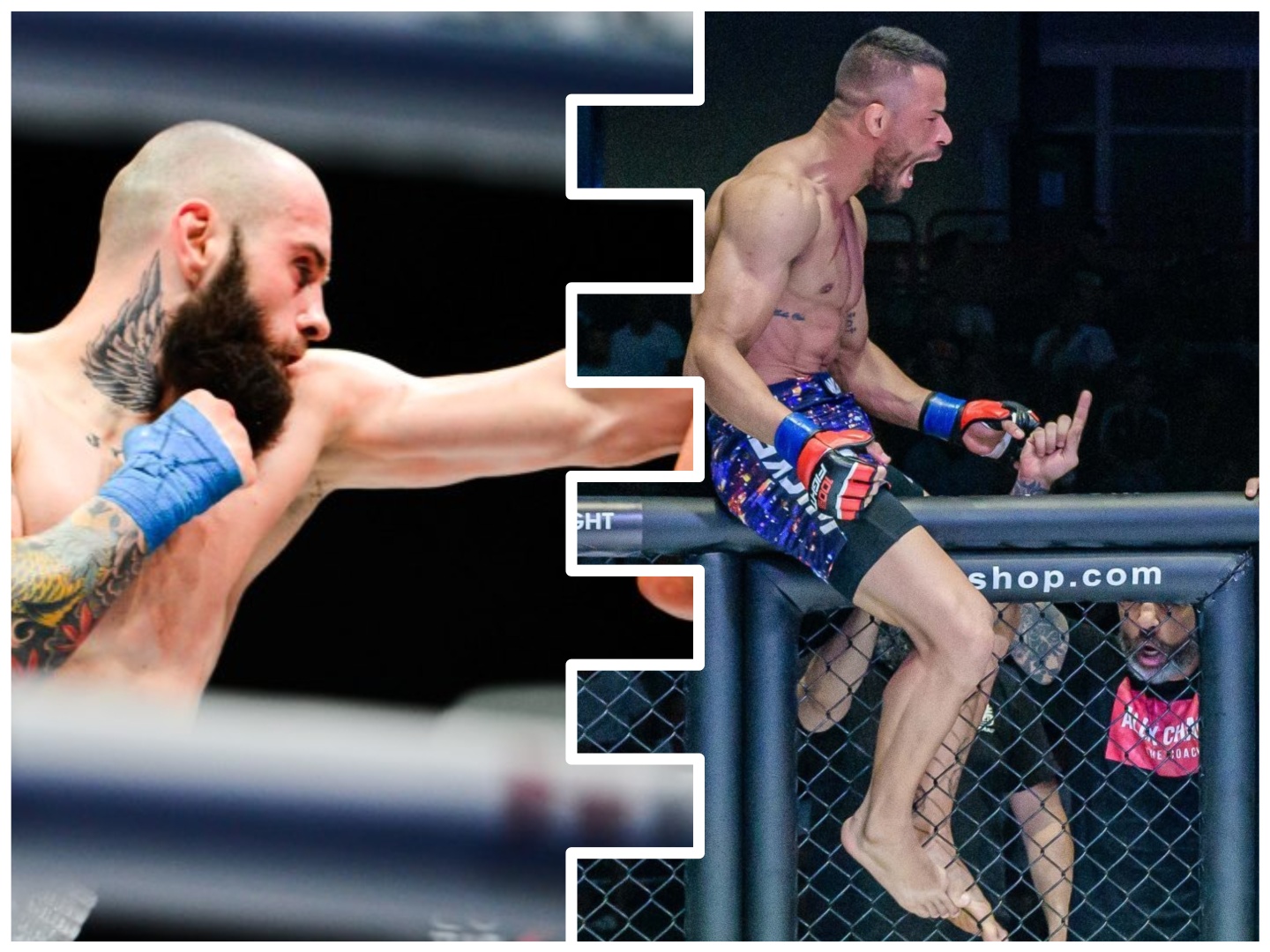 АнгелПетковФелипеМая