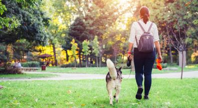 кучешки парк