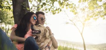 5 най-добри породи кучета за млади двойки