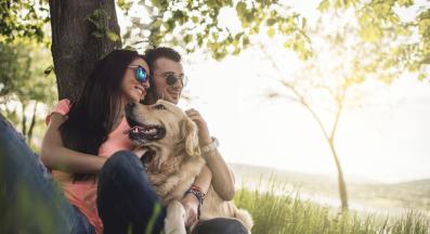 кучета семейство