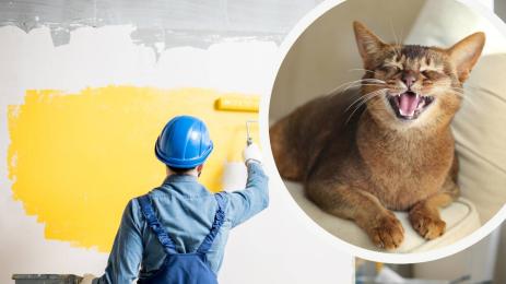 ремонт котка