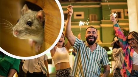 купон мишка