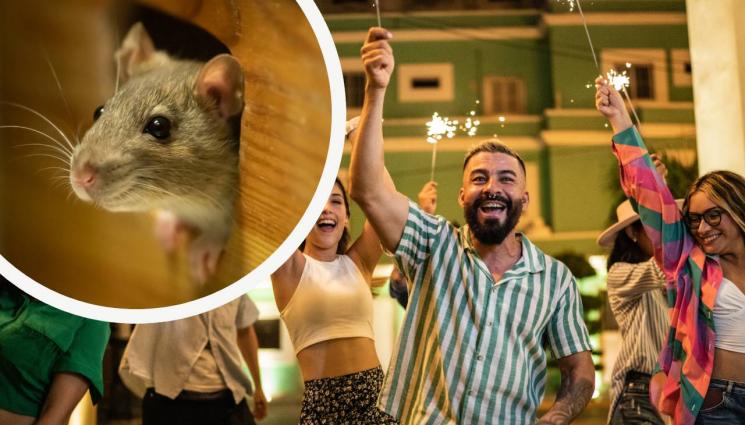 купон мишка - ПО ВРЕМЕ НА КУПОН: Студент изяде мишка, пращат го на съд!